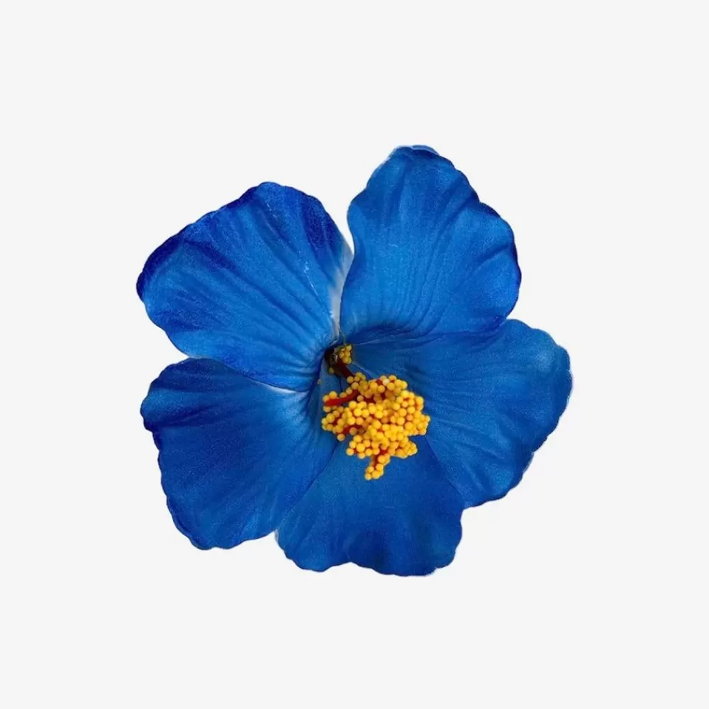 Best 1 Blue Hawaiian Flower Clip Accessories