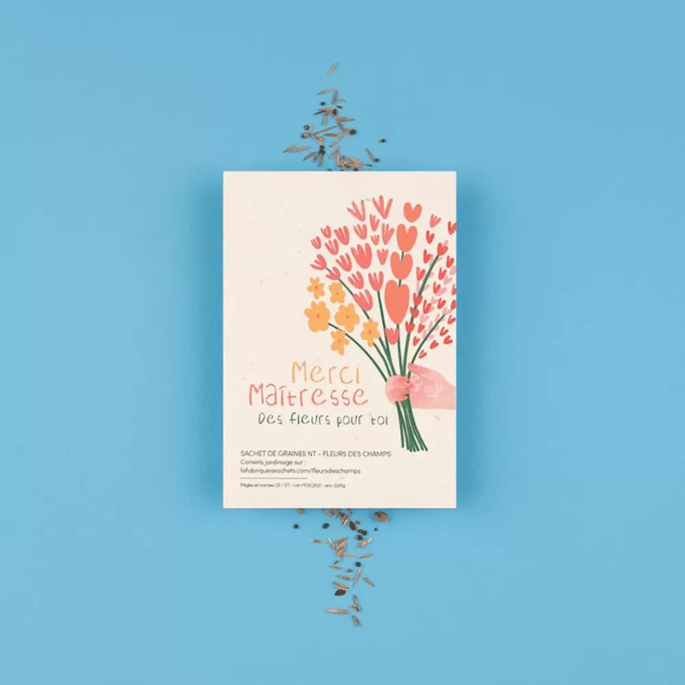 Hot Bag Of Seeds: Thank You Mistress Greeting Cards