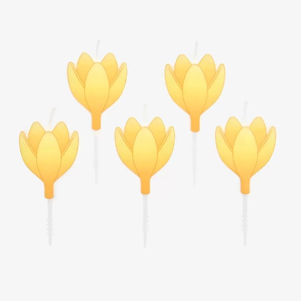 Online Birthday Candle: 5 Yellow Crocus Flower Candles Birthday Candles