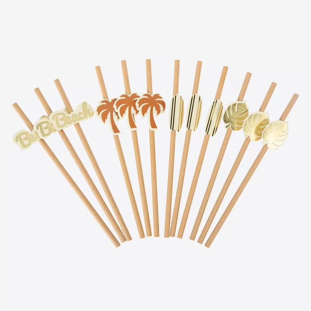 Shop Cardboard Straw: 12 Beach & Surf Straws Straws