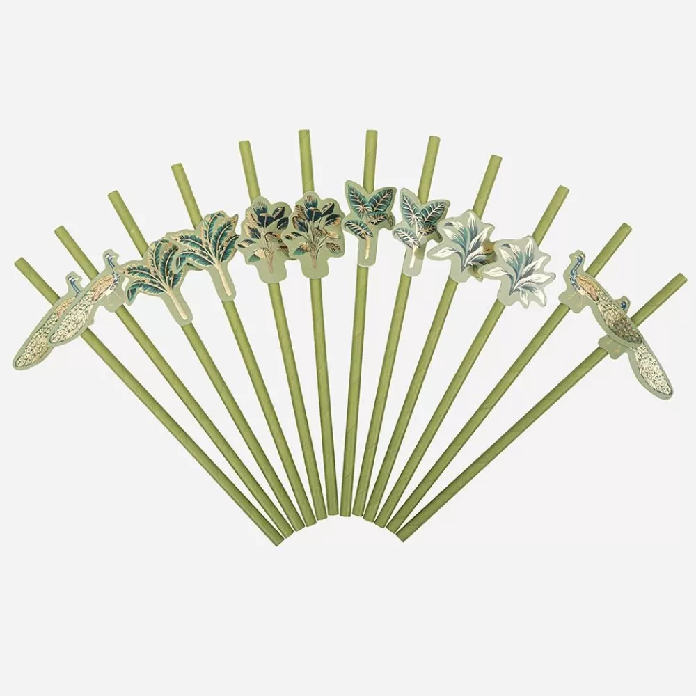 Flash Sale Cardboard Straw: 12 Tropical Peacock Straws Straws