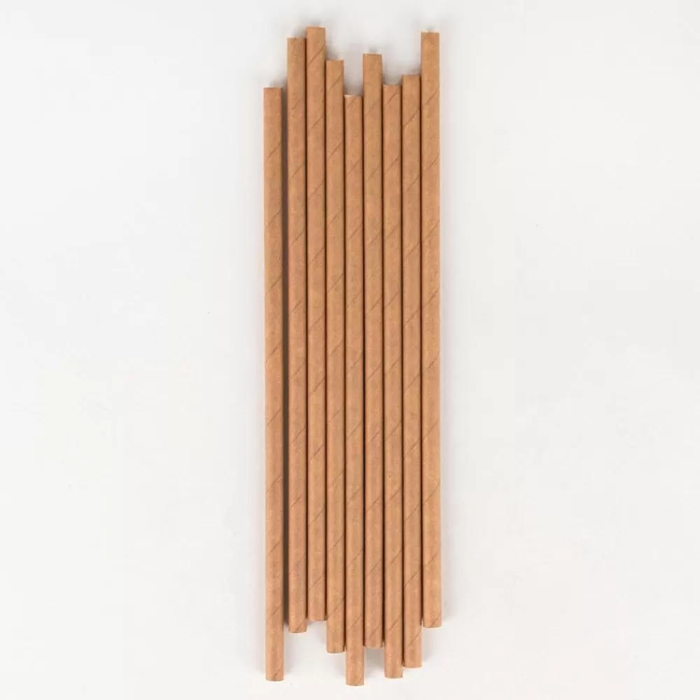 Clearance Cardboard Straw: 20 Kraft Straws Vaisselle Unie