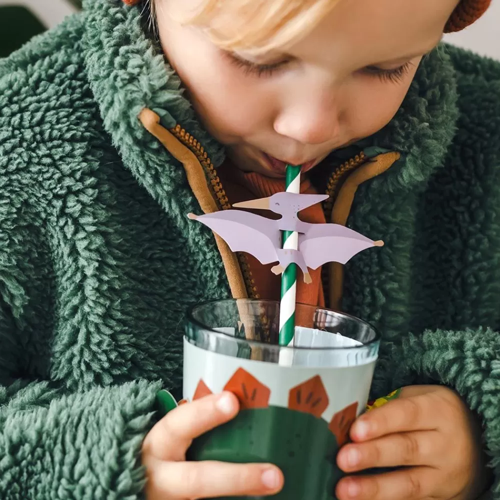 Best Cardboard Straw: 6 Pterodactyl Dinosaur Straws Straws