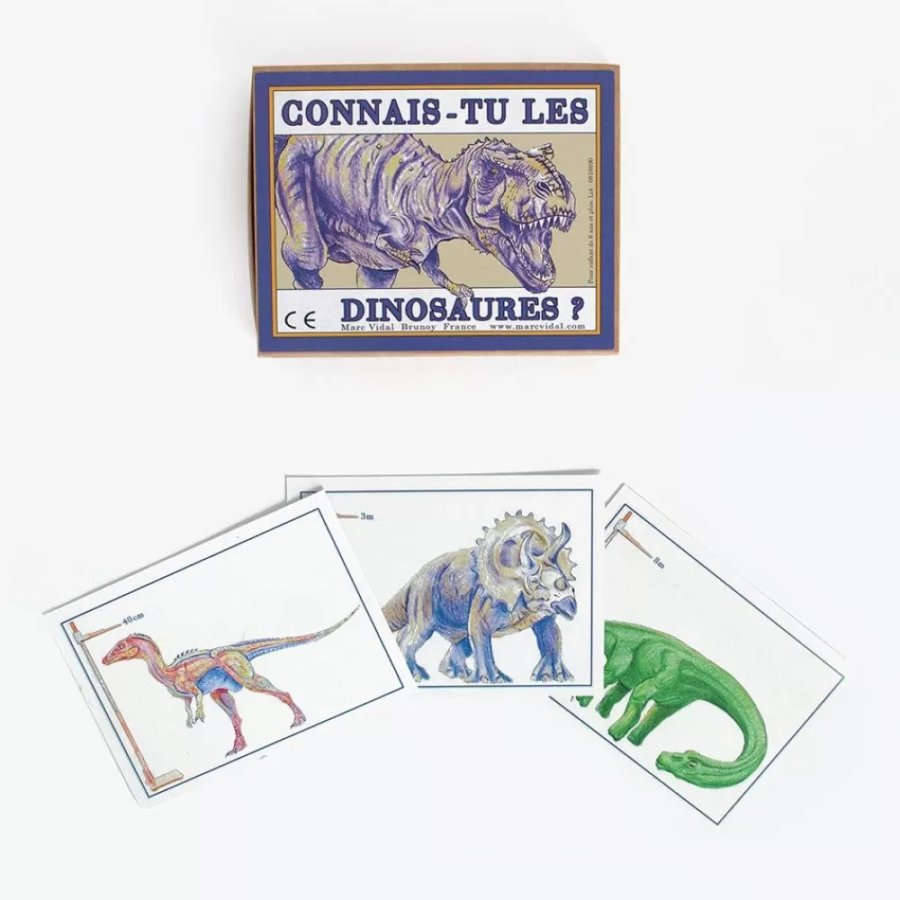 Online Cards: Do You Know Dinosaurs? Workshops And Games