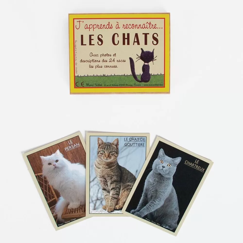 Cheap Cards: I Am Learning To Recognize Cats Workshops And Games