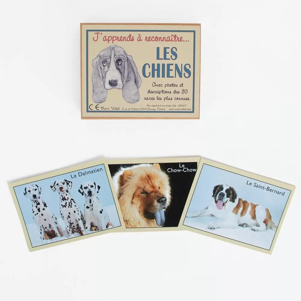 Shop Cards: I Am Learning To Recognize Dogs Workshops And Games