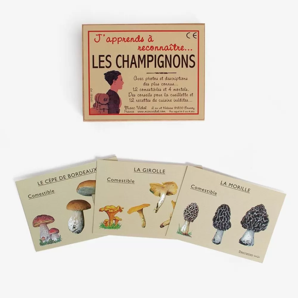 Shop Cards: I Am Learning To Recognize Mushrooms Workshops And Games