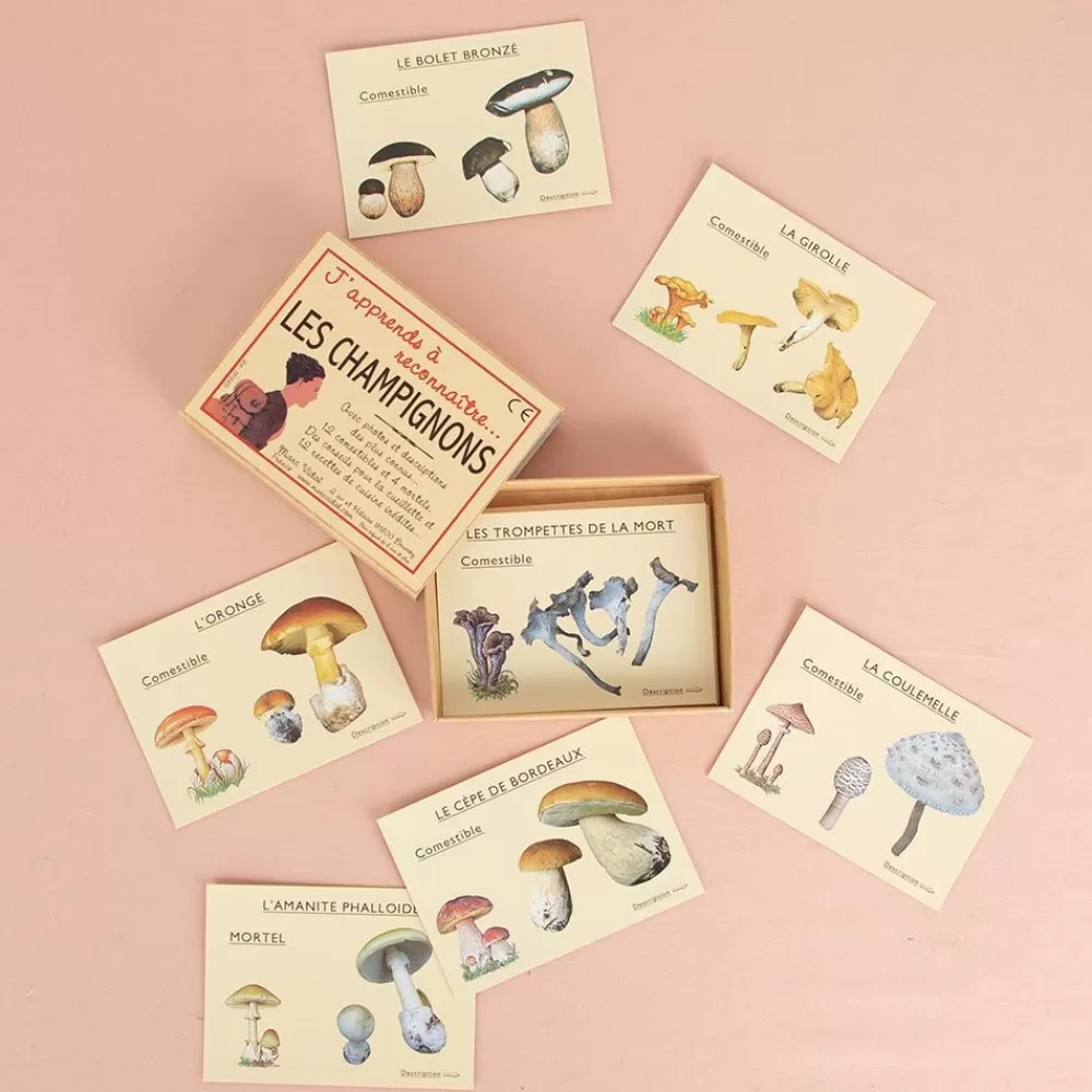 Shop Cards: I Am Learning To Recognize Mushrooms Workshops And Games