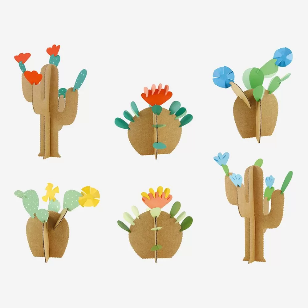 Best Creative Leisure Kit: 6 Cacti To Create Workshops And Games