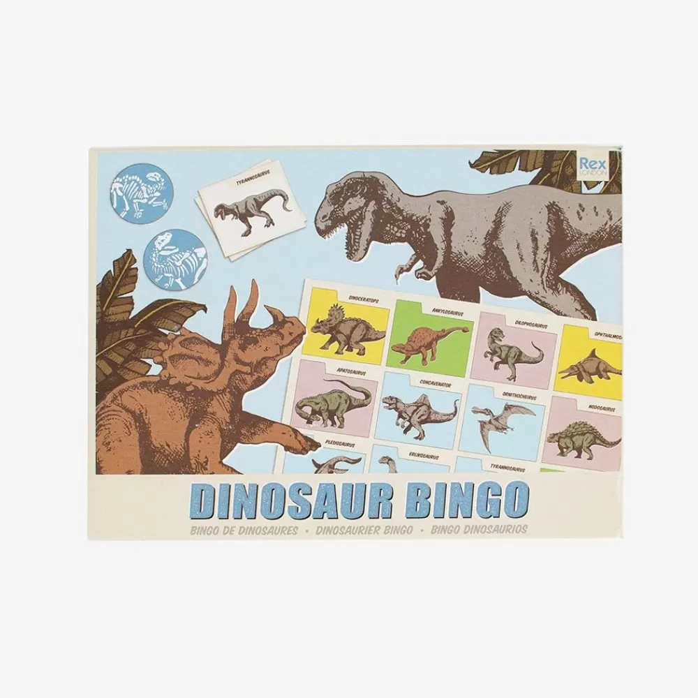 Clearance Dinosaur Bingo Workshops And Games