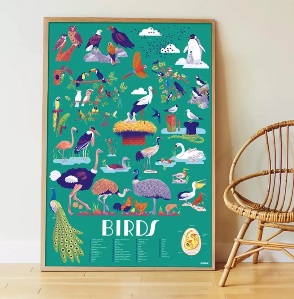 Flash Sale Educational Poster + 45 Stickers: Birds Stickers And Stickers