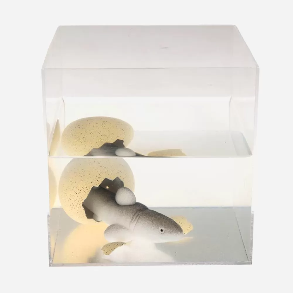 New Magic Shark Small Toys