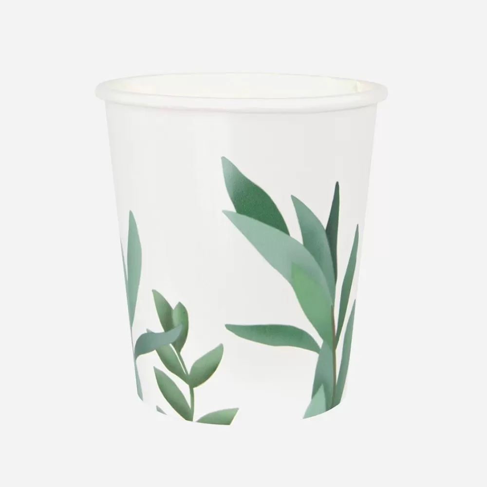 Cheap Paper Cup: 8 Eucalyptus Cups Cups