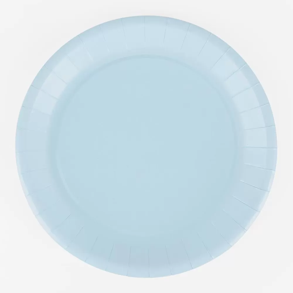 Hot Paper Plate: 10 Light Blue Plates Plates