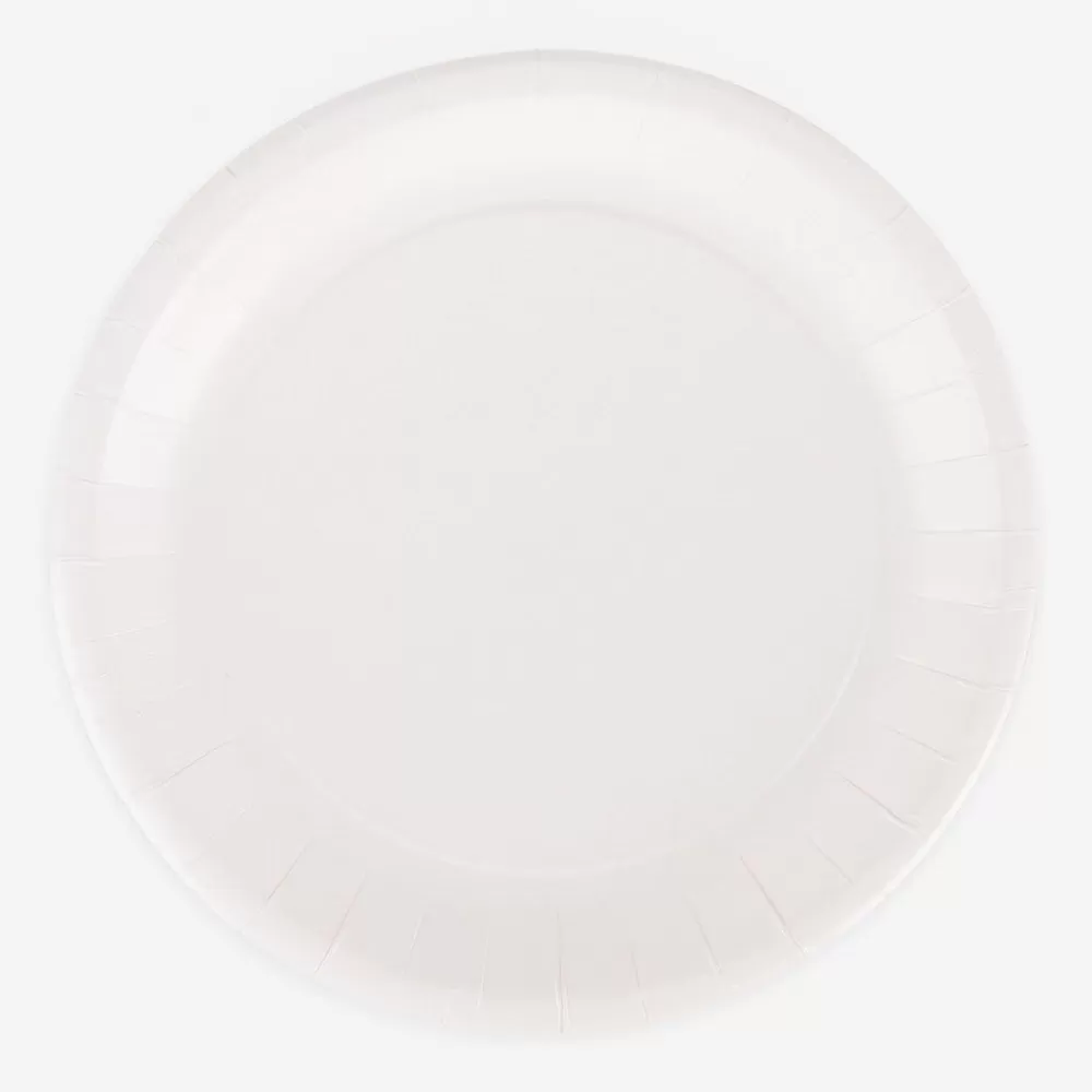 Hot Paper Plate: 10 White Plates Plates