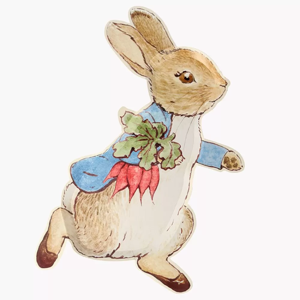 Clearance Paper Plate: 12 Peter Rabbit Plates Plates