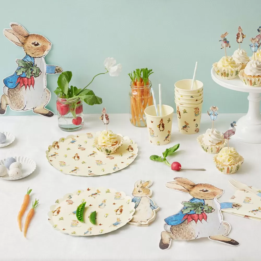 Clearance Paper Plate: 12 Peter Rabbit Plates Plates