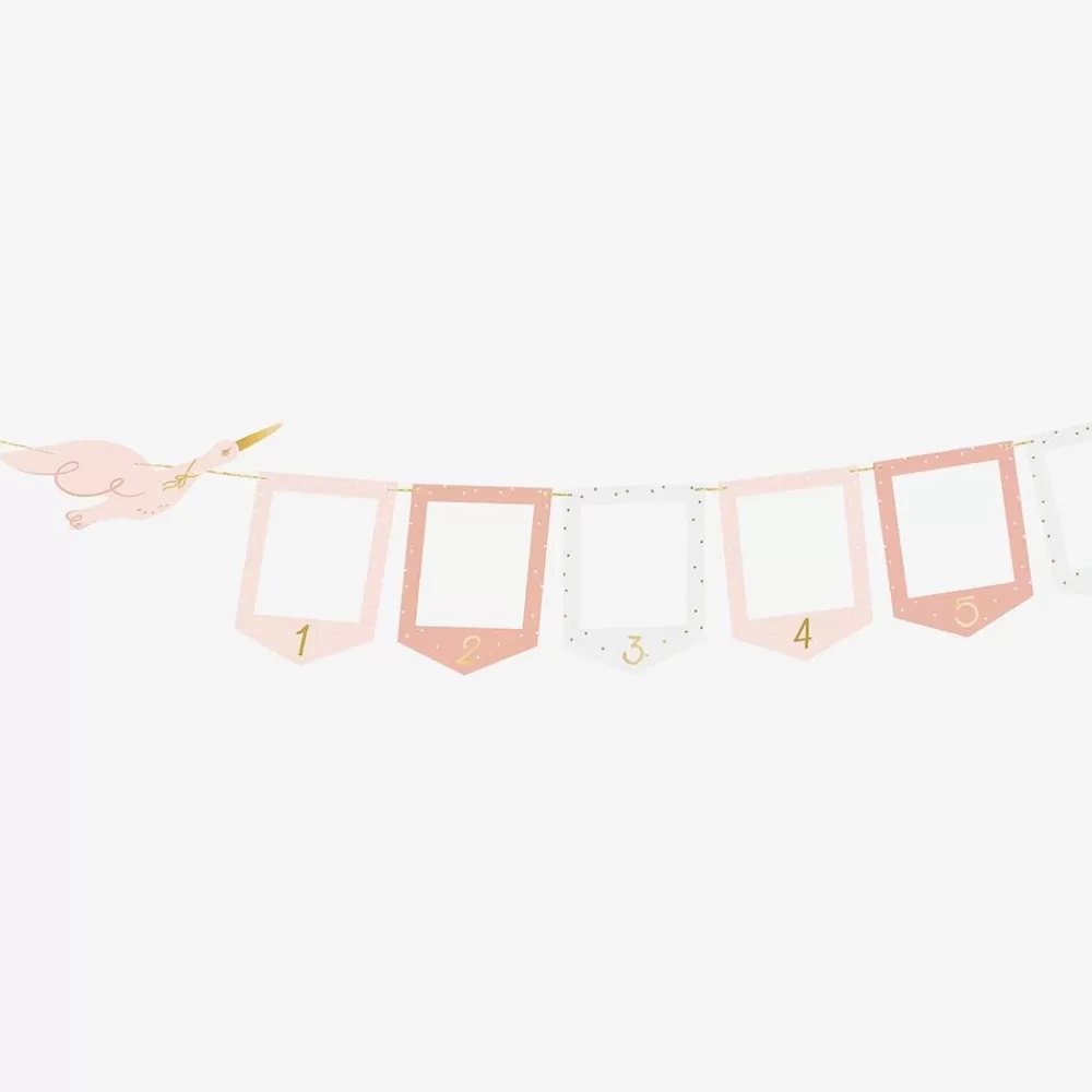 Store Pink Stork Photo Garland Garlands