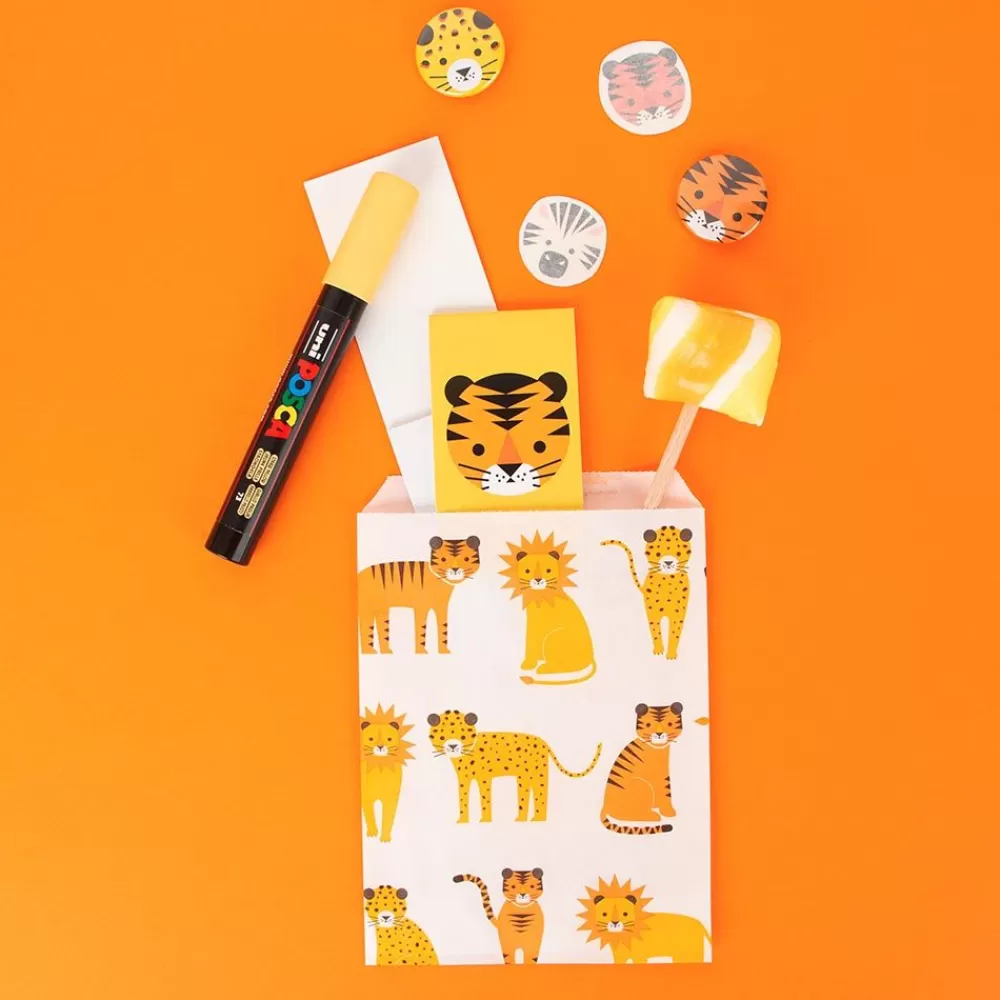 New Safari Birthday Pouch Kit Birthday Kits