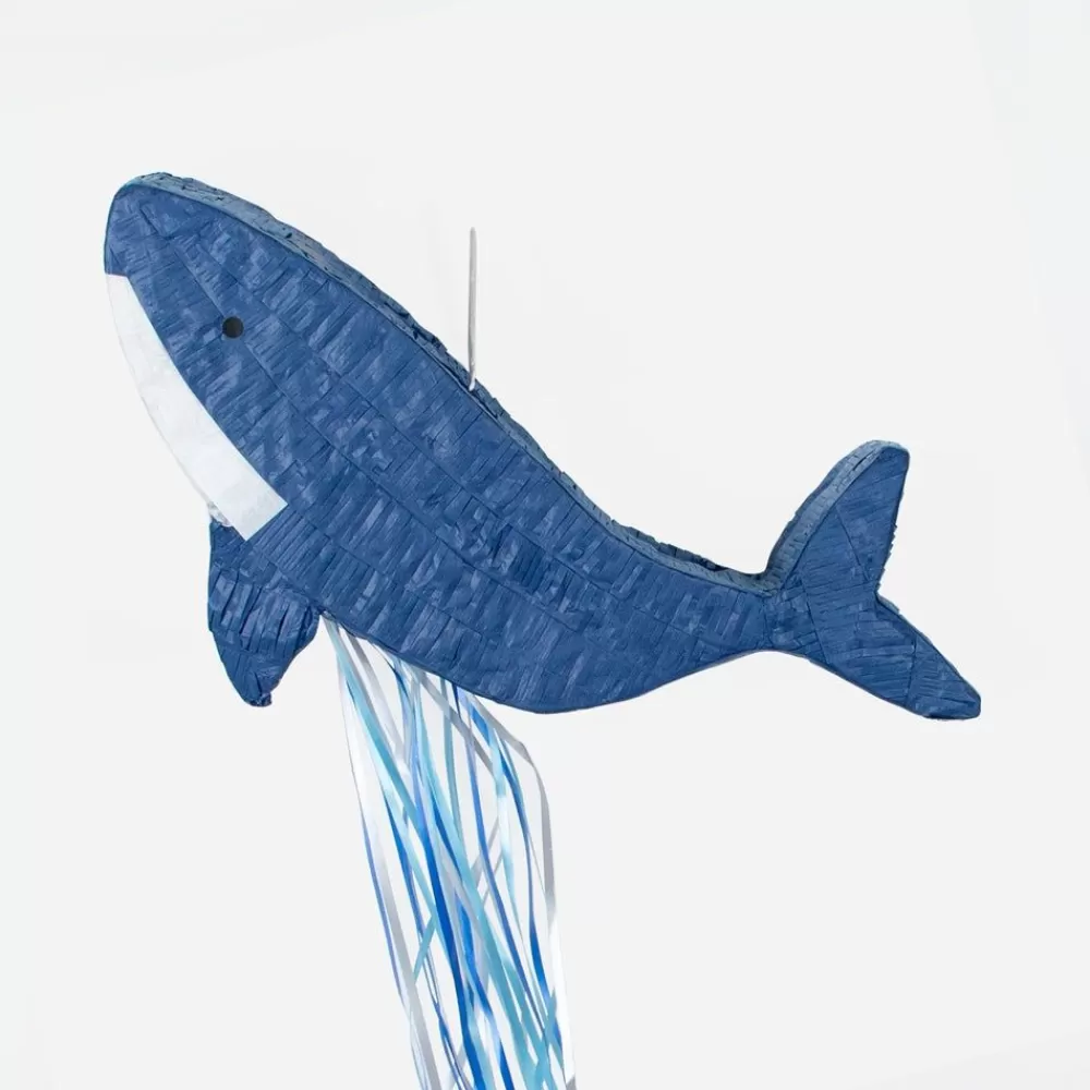 Best Whale Pinata Pinatas